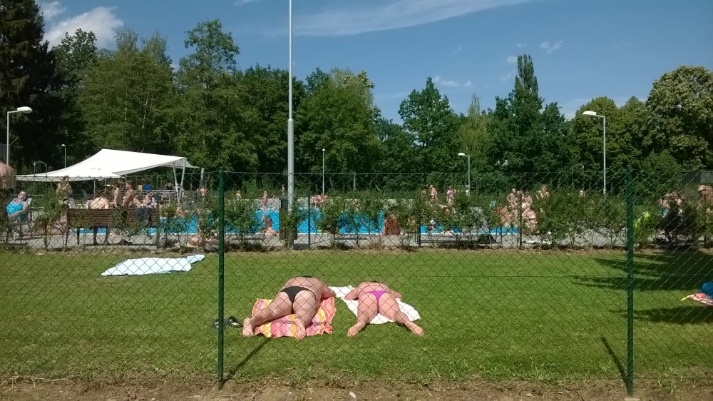 WP_20170731_14_40_40_Pro.jpg
