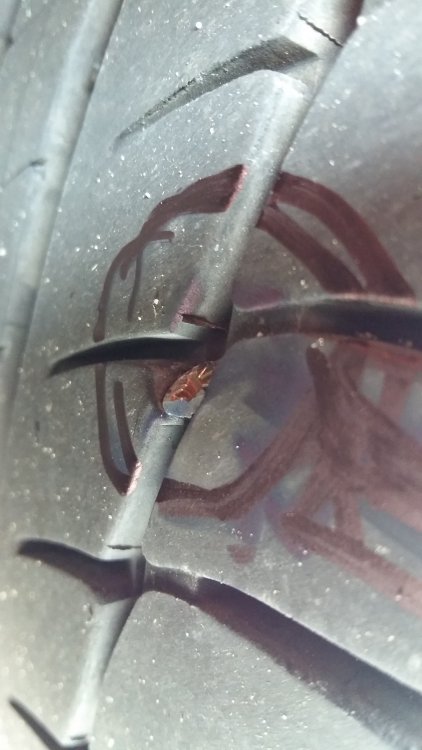 20170804_113155.jpg
