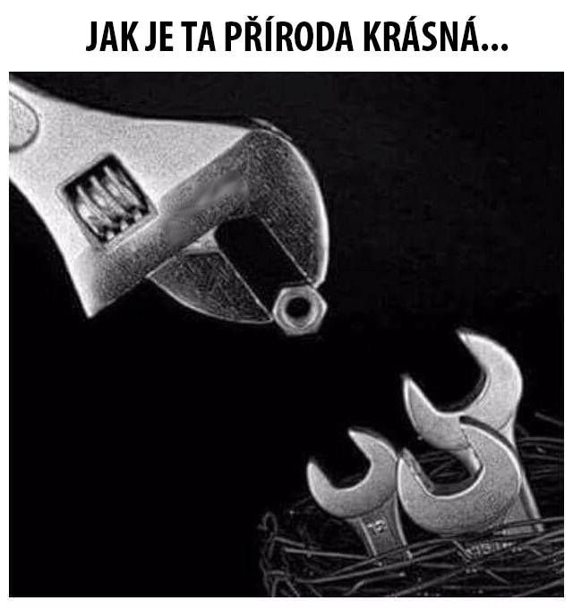 příroda.jpg