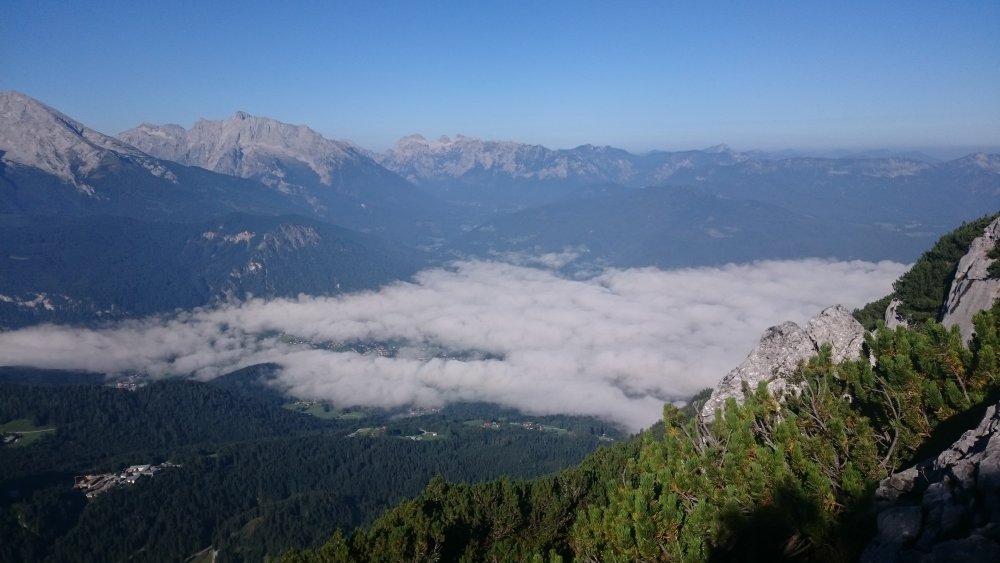 DSC_1242.JPG