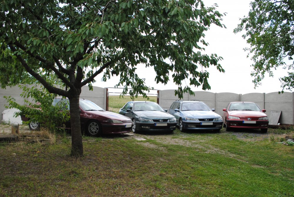 DSC_6689.jpg