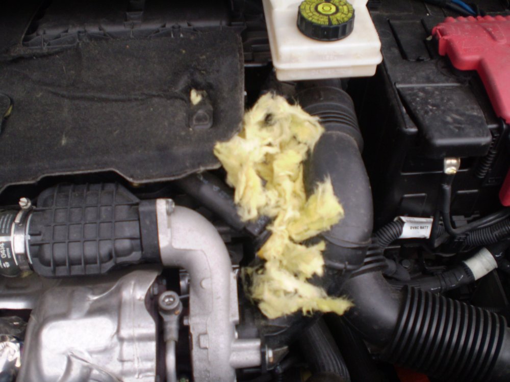 PA040049.JPG