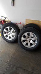 20171006_160428.jpg