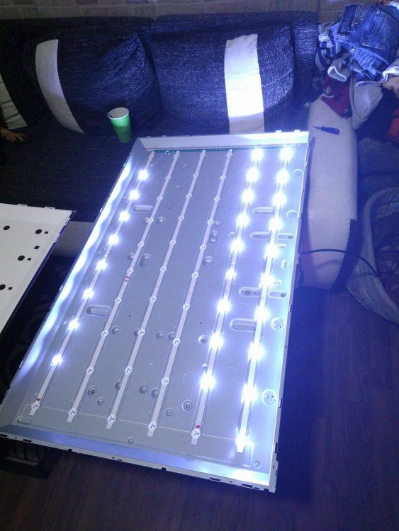 LED (1).jpg