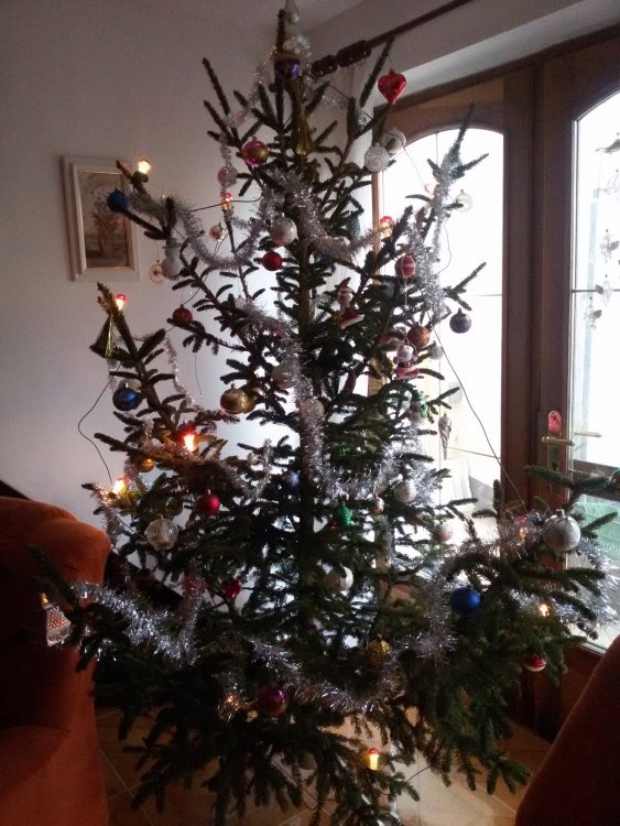 20171224_141346.jpg