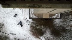 WP_20171203_11_32_41_Pro.jpg