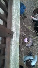 WP_20171203_11_34_14_Pro.jpg