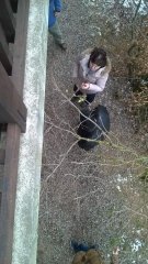 WP_20171203_11_34_49_Pro.jpg
