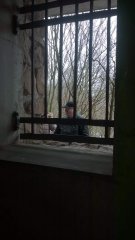 WP_20171203_11_35_50_Pro.jpg