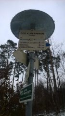WP_20171203_11_53_40_Pro.jpg