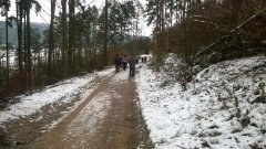 WP_20171203_11_54_40_Pro.jpg
