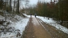 WP_20171203_11_54_51_Pro.jpg