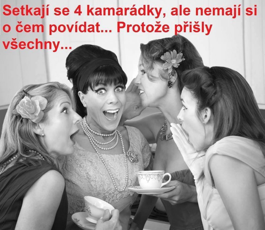 setkání.jpg