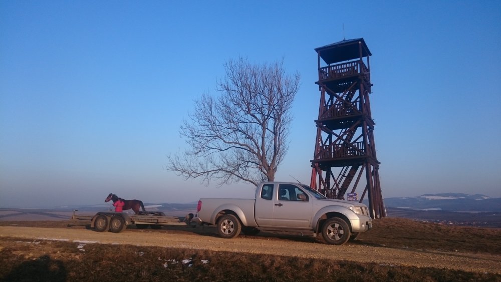 DSC_1944.JPG
