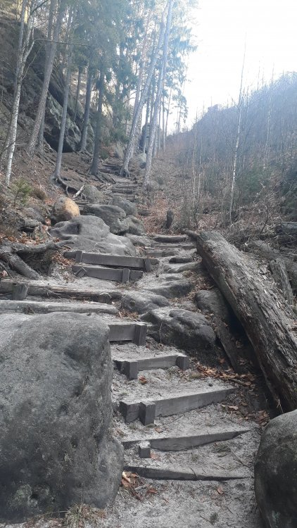 20180330_094014.jpg