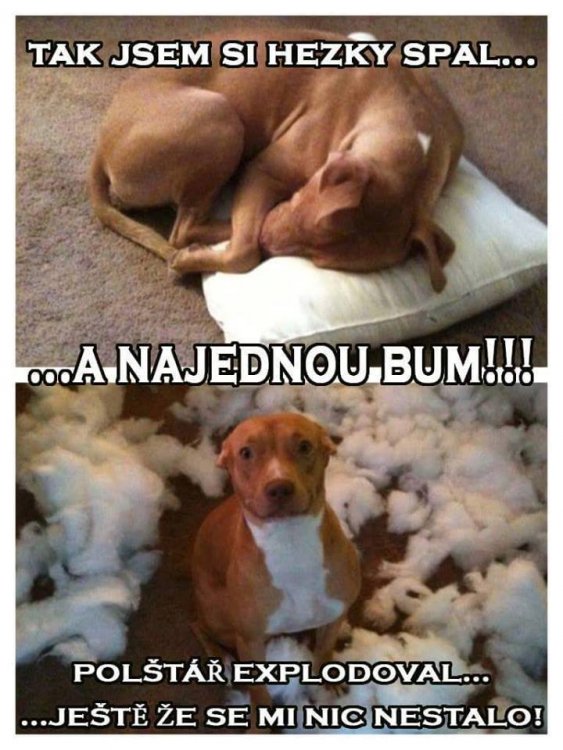 Bum.jpg