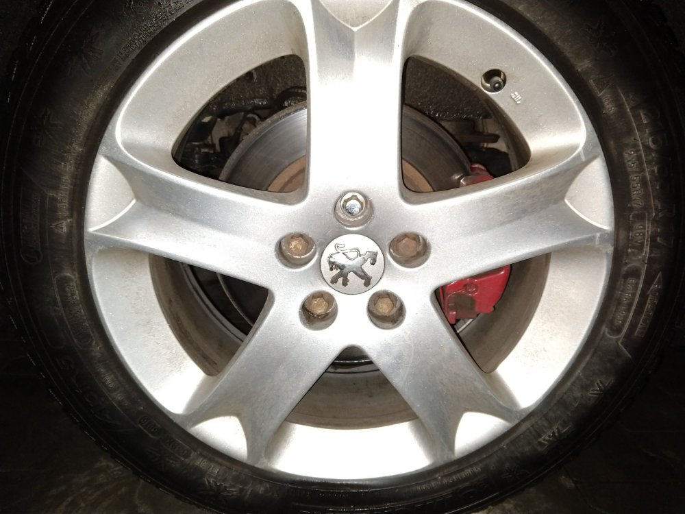 IMG_20180306_093721658-2016x1512.jpg