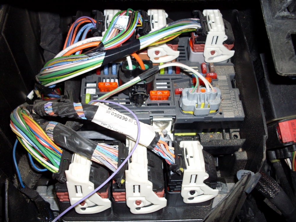 SDC16939.JPG