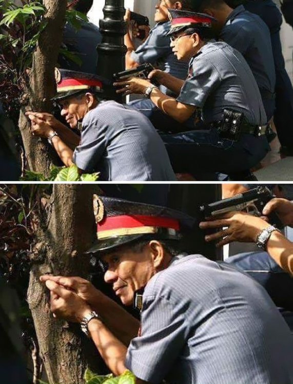 hmmmc.jpg