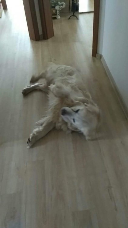 received_2070598589844271.jpeg
