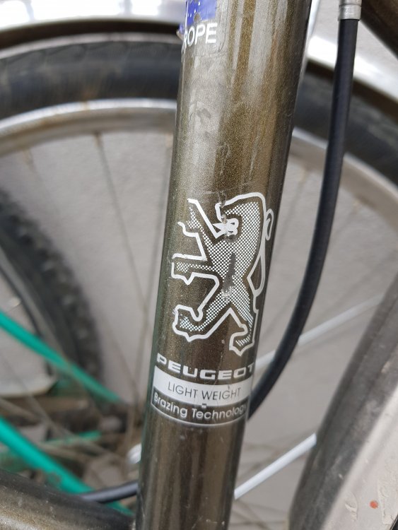 20180407_122440.jpg