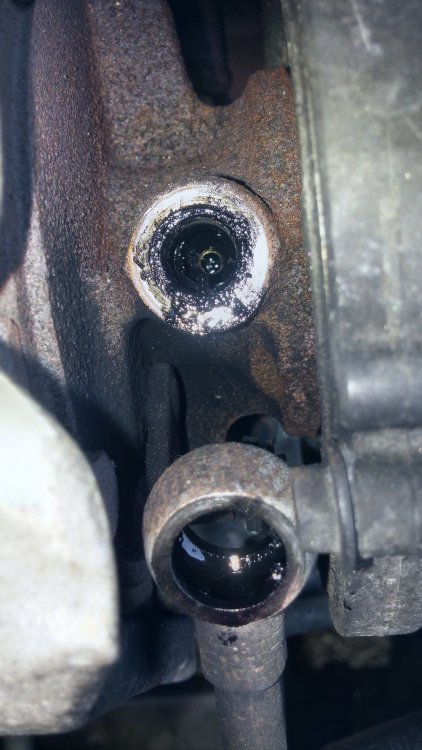 20180422_130440.jpg
