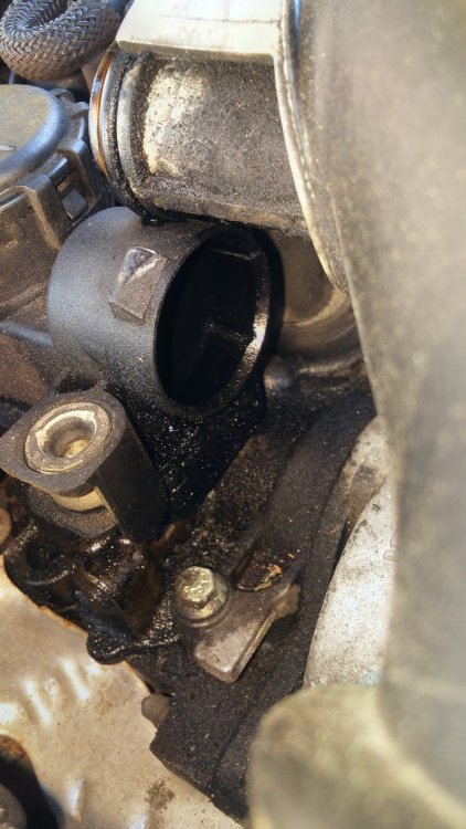 20180422_131628.jpg