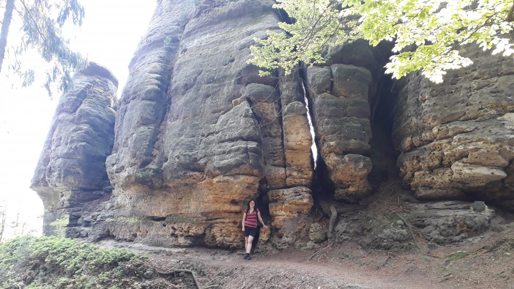 20180429_114052.jpg