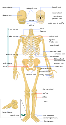 image.png.fc7c118082d5407e6535945ead90bed4.png