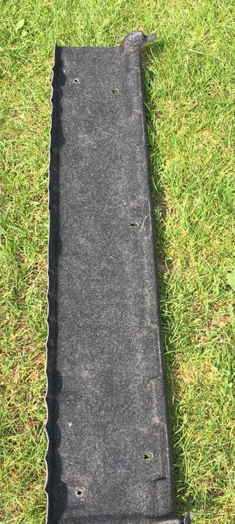20180528_072649452_iOS.jpg