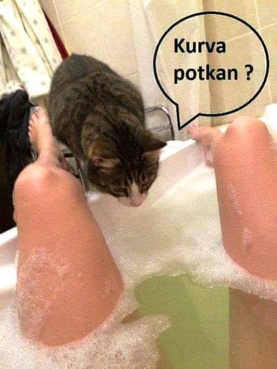 FB_IMG_1525522031187.jpg