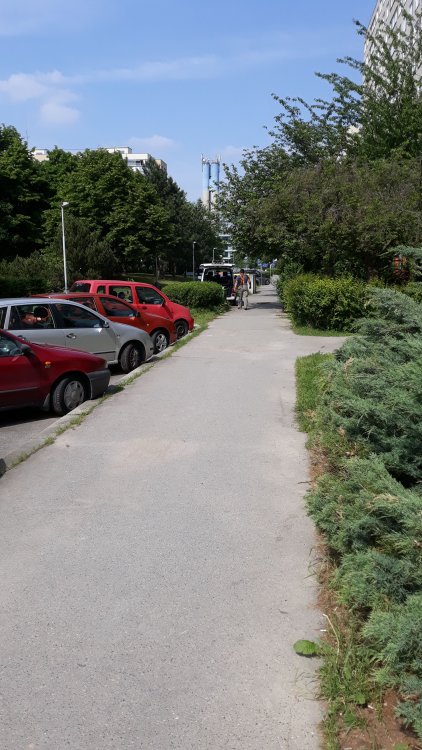 IMG-20180519-WA0001.jpeg