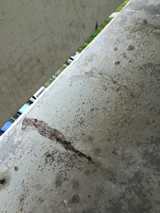 IMG_20180510_173109.jpg