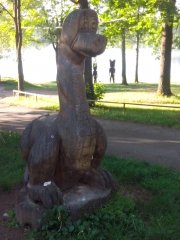 IMG_20180513_064611.jpg