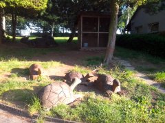 IMG_20180513_064643.jpg