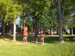 IMG_20180513_064741.jpg