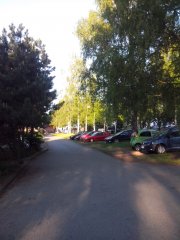 IMG_20180513_065214.jpg