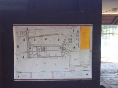 IMG_20180513_065416.jpg