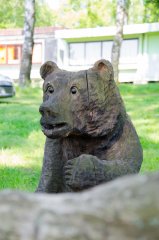 DSC_8305.jpg