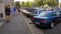 WP_20180609_10_32_03_Pro.jpg