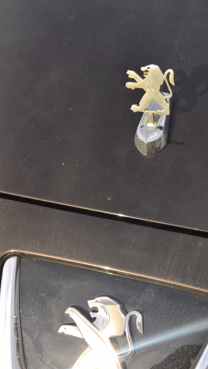 wp_ss_20180605_0013.png