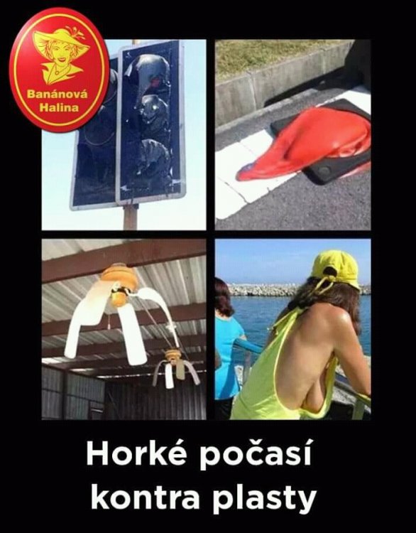 FB_IMG_15317763936822617.jpg