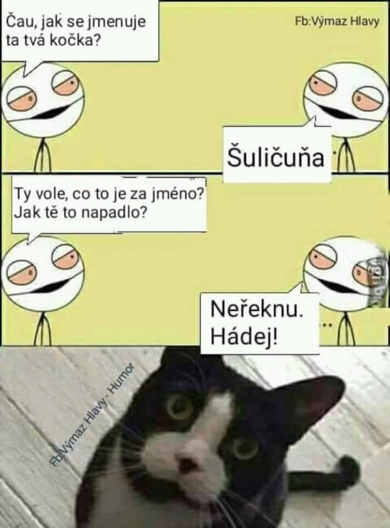 FB_IMG_15325499594883114.jpg