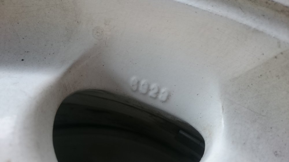 DSC_0099.JPG