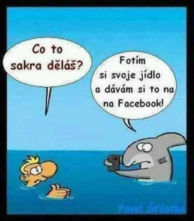 FB_IMG_15335021105534136.jpg