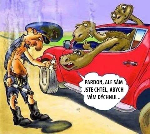 drak.jpg