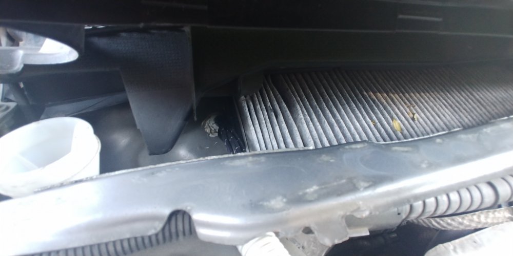 20180930_124402.jpg