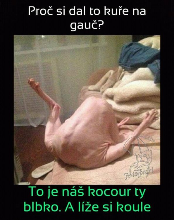 FB_IMG_15364792349441644.jpg