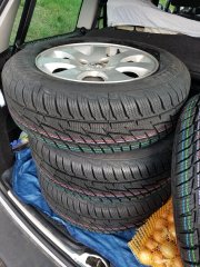 20180922_093456.jpg