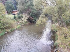 2018-09-23  10-20-36 - 148.jpg
